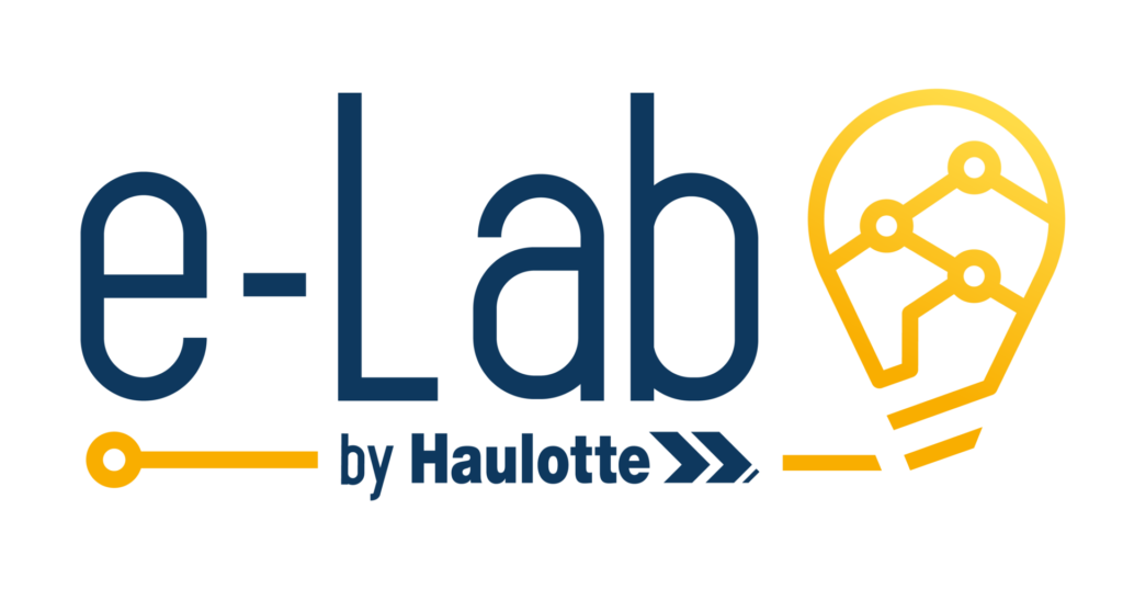 Logo e-Lab